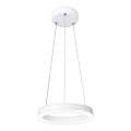 LED pakabinamas šviestuvas FOKKO 1xLED/9W/230V