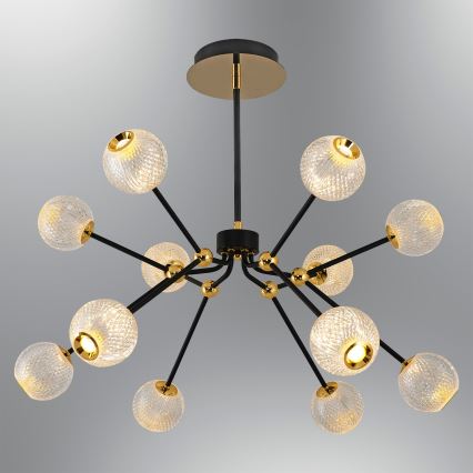 LED pakabinamas šviestuvas GELA 12xLED/5W/230V 3000K juoda/aukso