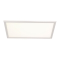 LED panelė LED/24W/230V 4000K