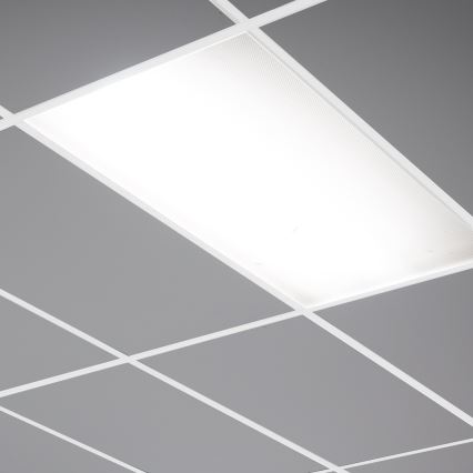 LED panelė LED/24W/230V 4000K