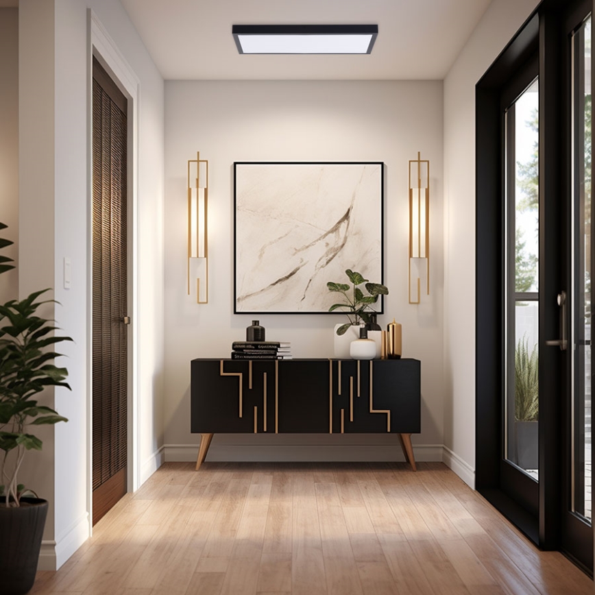 LED panelė LED/36W/230V 4000K 30x60 cm juoda