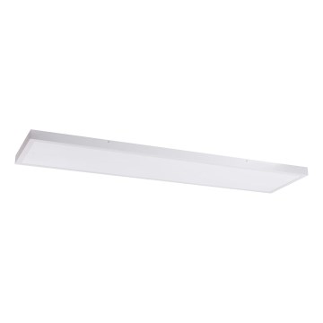 LED panelė LED/60W/230V 4000K 30x120 cm balta