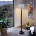 LED pastatoma lempa TUNJA 1xE27/20W/230V skersmuo 30 cm juoda/balta