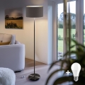 LED pastatoma lempa TUNJA 1xE27/20W/230V skersmuo 38 cm juoda/ruda
