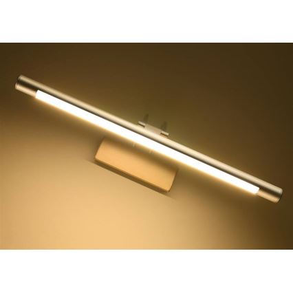 LED paveiklo šviestuvas RENOIR LED/8W/230V