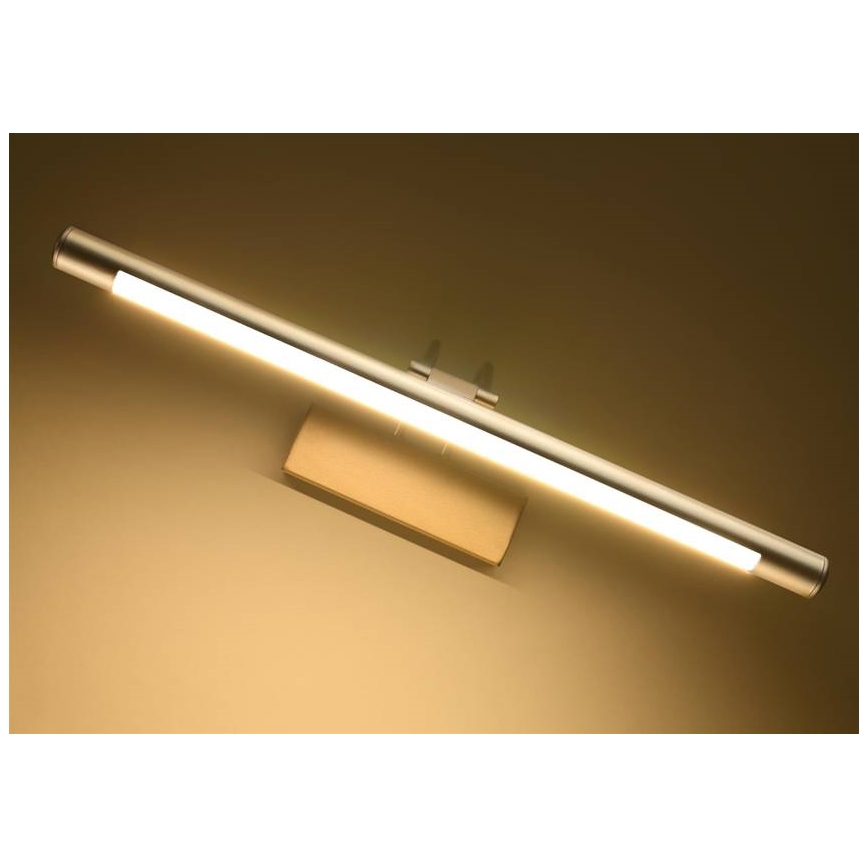 LED paveiklo šviestuvas RENOIR LED/8W/230V