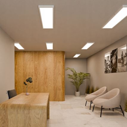 LED Paviršinė panelė LED/60W/230V 30x120 cm balta