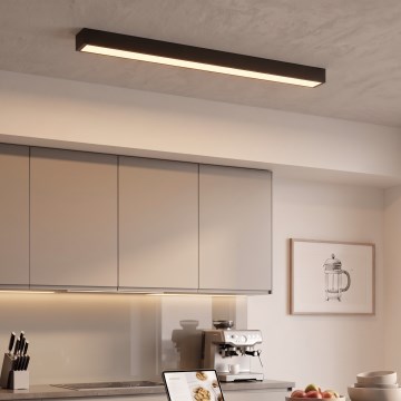 LED Paviršinis/pakabinamas šviestuvas ant laido LED/44W/230V 3000K 120 cm juodas