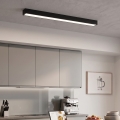 LED paviršinis/pakabinamas šviestuvas ant laido LED/44W/230V 4000K 120 cm juodas