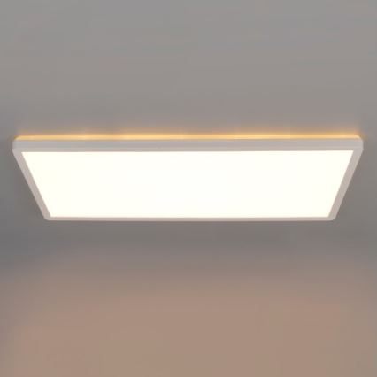 LED Paviršinis panelinis šviestuvas NIVERA LED/32W/230V IP54 3000/4000/6000K 29,5x59,5 cm baltas