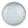 LED Plaukimo baseino lemputė LED/25W/12V IP68 6500K