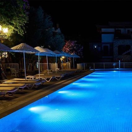 LED Plaukimo baseino lemputė LED/25W/12V IP68 6500K