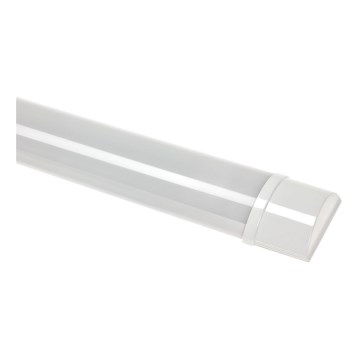 LED po spintelės šviestuvas VIGA LED/14W/230V 6000K balta