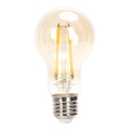 LED pritemdoma elektros lemputė FILAMENT A60 E27/6W/230V 2200K - Aigostar