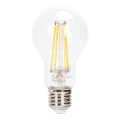 LED pritemdoma elektros lemputė FILAMENT A60 E27/6W/230V 2700K - Aigostar