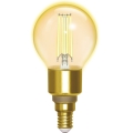 LED pritemdoma elektros lemputė FILAMENT G45 E14/4,5W/230V 2700-6500K Wi-Fi - Aigostar