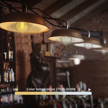 LED pritemdoma elektros lemputė FILAMENT G45 E27/4,5W/230V 2700-6500K Wi-Fi - Aigostar