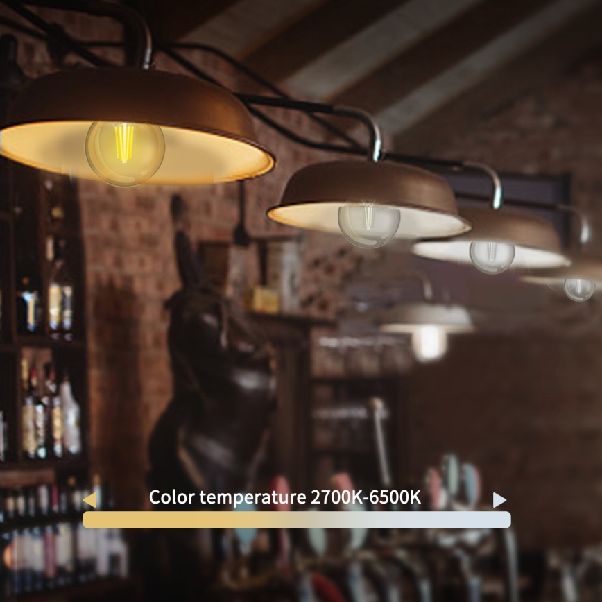 LED pritemdoma elektros lemputė FILAMENT G45 E27/4,5W/230V 2700-6500K Wi-Fi - Aigostar