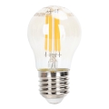 LED pritemdoma elektros lemputė FILAMENT G45 E27/4W/230V 2200K - Aigostar