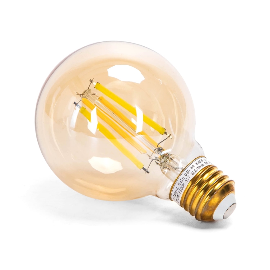 LED pritemdoma elektros lemputė FILAMENT MESH Išmanus G80 E27/6W/230V 2700-6500K - Aigostar