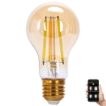 LED pritemdoma elektros lemputė FILAMENT MESH Išmanus A60 E27/6W/230V 2700-6500K - Aigostar