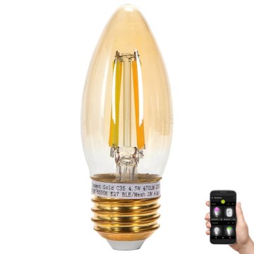LED pritemdoma elektros lemputė FILAMENT MESH Išmanus C35 E27/4,5W/230V 2700-6500K - Aigostar