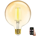 LED pritemdoma elektros lemputė FILAMENT MESH Išmanus G125 E27/6W/230V 2700-6500K - Aigostar