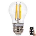 LED pritemdoma elektros lemputė FILAMENT MESH Išmanus G45 E27/4,5W/230V 2700-6500K - Aigostar