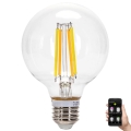 LED pritemdoma elektros lemputė FILAMENT MESH Išmanus G80 E27/6W/230V 2700-6500K - Aigostar