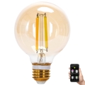 LED pritemdoma elektros lemputė FILAMENT MESH Išmanus G80 E27/6W/230V 2700-6500K - Aigostar