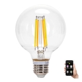 LED pritemdoma elektros lemputė FILAMENT MESH Išmanus G95 E27/6W/230V 2700-6500K - Aigostar