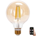 LED pritemdoma elektros lemputė FILAMENT MESH Išmanus G95 E27/6W/230V 2700-6500K - Aigostar
