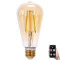 LED pritemdoma elektros lemputė FILAMENT MESH Išmanus ST64 E27/6W/230V 2700-6500K - Aigostar