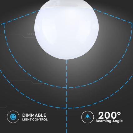 LED pritemdoma elektros lemputė G120 E27/13W/230V 6400K