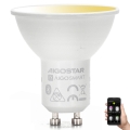 LED pritemdoma elektros lemputė GU10/6,5W/230V 2700-6500K - Aigostar