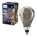 LED pritemdoma elektros lemputė SMOKY VINTAGE Philips A160 E27/6,5W/230V 4000K