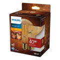 LED pritemdoma elektros lemputė VINTAGE Philips G95 E27/7W/230V 1800K