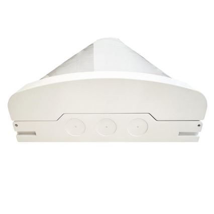 LED pritemdoma fluorescencinė lemputė LED/35W/44W/52W/60W/230V 4000K 120 cm