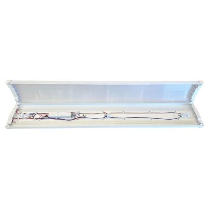 LED pritemdoma fluorescencinė lemputė LED/35W/44W/52W/60W/230V 4000K 120 cm