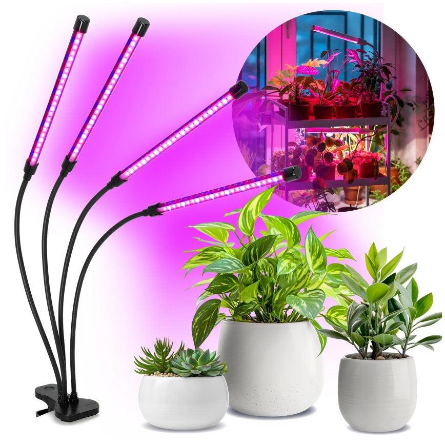 LED pritemdoma lanksti stalinė lempa su segtuku augalams auginti VITARO 4xLED/10W/230V juoda
