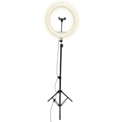 LED Pritemdoma lempa su trikoju ir laikikliu vaizdo įrašų rašymui LED/15W/5V 2700-6500K