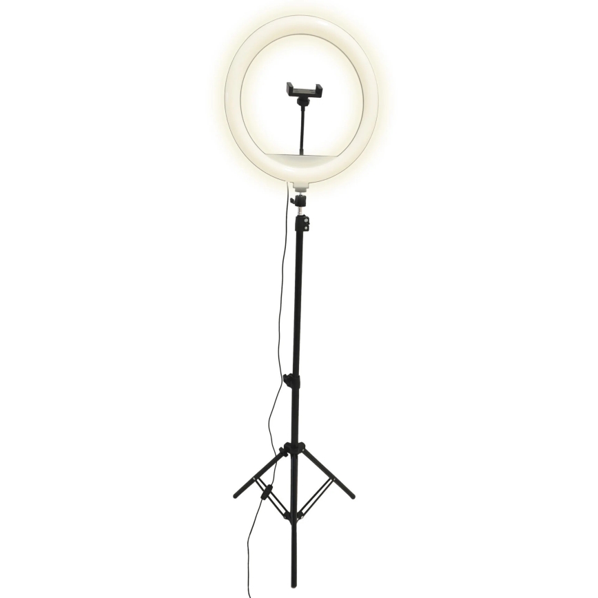 LED Pritemdoma lempa su trikoju ir laikikliu vaizdo įrašų rašymui LED/15W/5V 2700-6500K