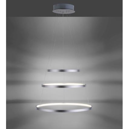 Leuchten Direkt 11526-55 - LED Pritemdomas, ant virvės kabinamas, lubinis šviestuvas CIRCLE 1xLED/13,5W/230V + LED/19,5W + LED/24W