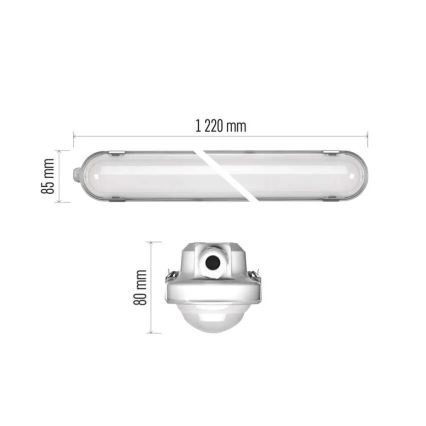 LED Pritemdomas didelio našumo šviestuvas MISTY LED/21/26/31/35W/230V 6500K IP66