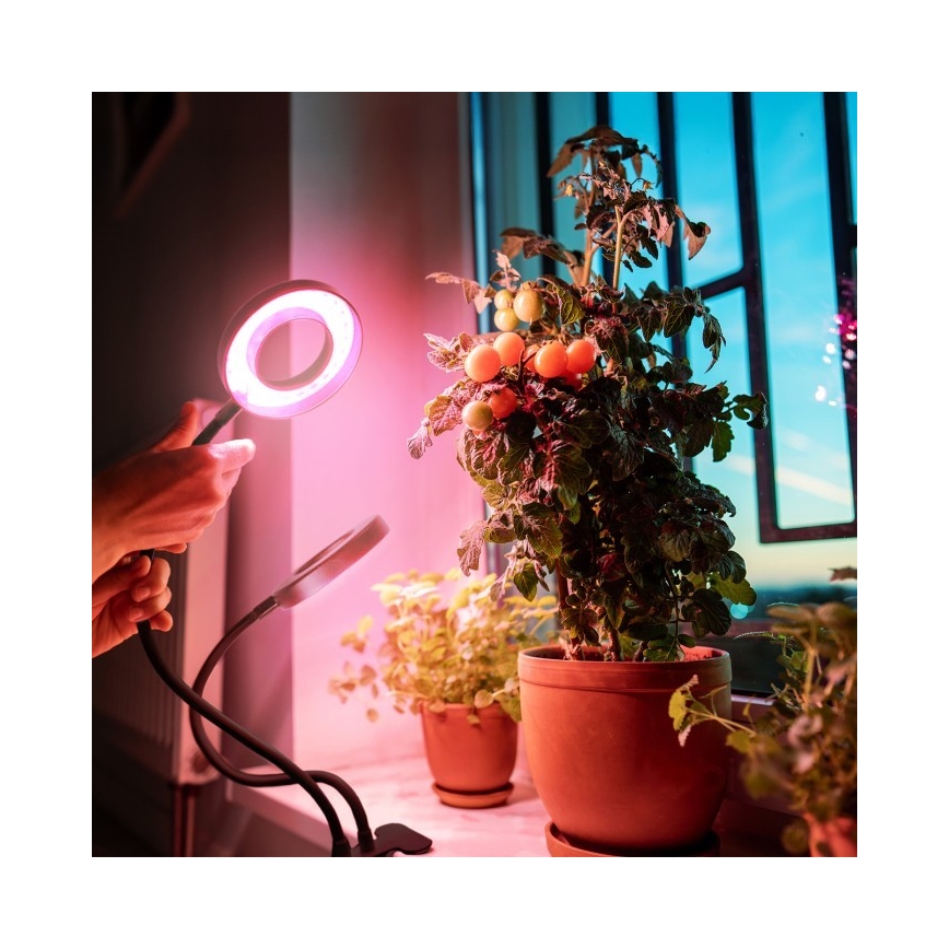 LED Pritemdomas lankstus Stalinis šviestuvas su segtuku augalams auginti VITARO 2xLED/4W/230V juoda