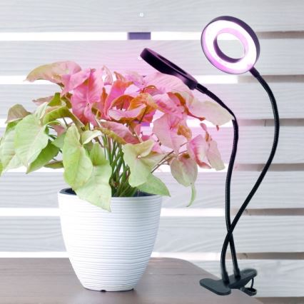 LED Pritemdomas lankstus Stalinis šviestuvas su segtuku augalams auginti VITARO 2xLED/4W/230V juoda