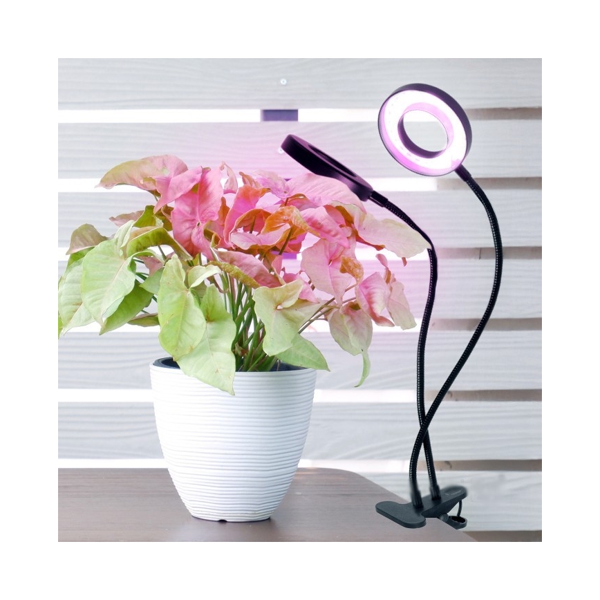 LED Pritemdomas lankstus Stalinis šviestuvas su segtuku augalams auginti VITARO 2xLED/4W/230V juoda