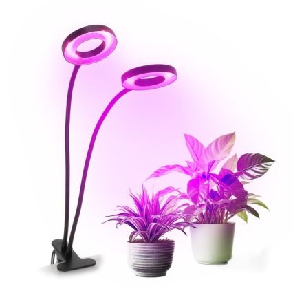 LED Pritemdomas lankstus Stalinis šviestuvas su segtuku augalams auginti VITARO 2xLED/4W/230V juoda