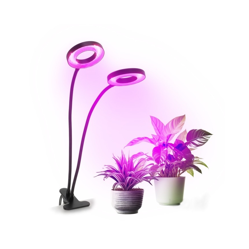 LED Pritemdomas lankstus Stalinis šviestuvas su segtuku augalams auginti VITARO 2xLED/4W/230V juoda