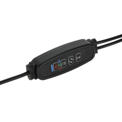 LED Pritemdomas lankstus Stalinis šviestuvas su segtuku augalams auginti VITARO 2xLED/4W/230V juoda